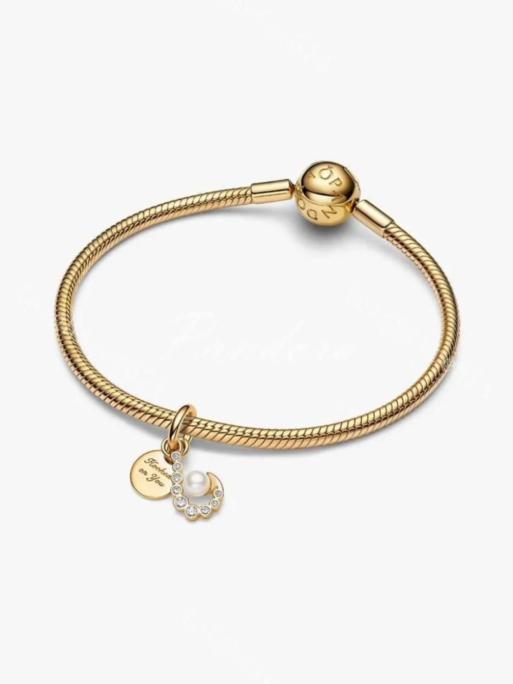 Pandora Hook Double Dangle Charm